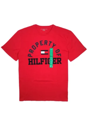 Tommy Hilfiger Men's T-Shirt (XL)